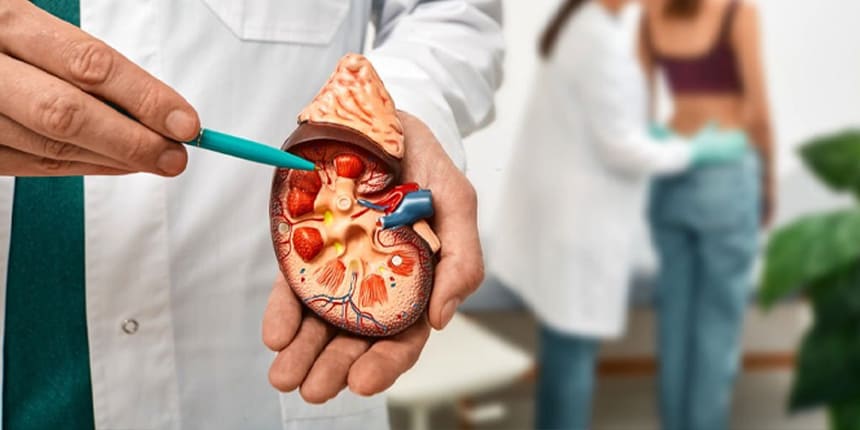 Tumores y cáncer de riñón